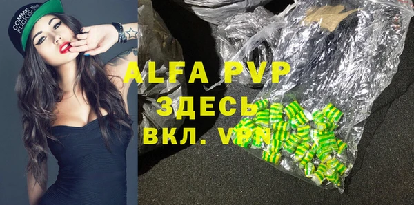 PSILOCYBIN Дмитриев