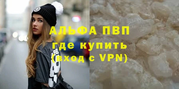 PSILOCYBIN Дмитриев