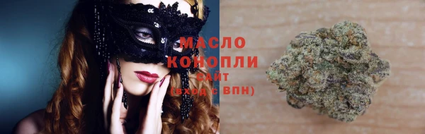 мяу мяу мука Алагир