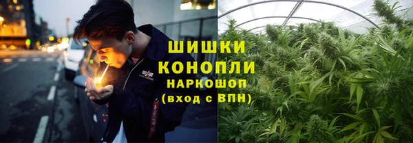PSILOCYBIN Дмитриев