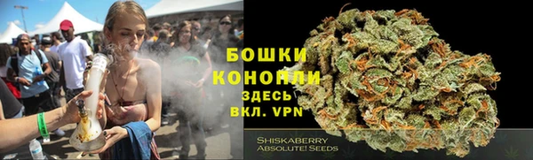 PSILOCYBIN Дмитриев