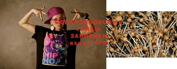 PSILOCYBIN Дмитриев