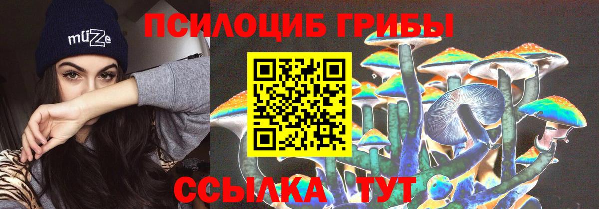 где найти   Вход с VPN  Джанкой  Галлюциногенные грибы Cubensis 